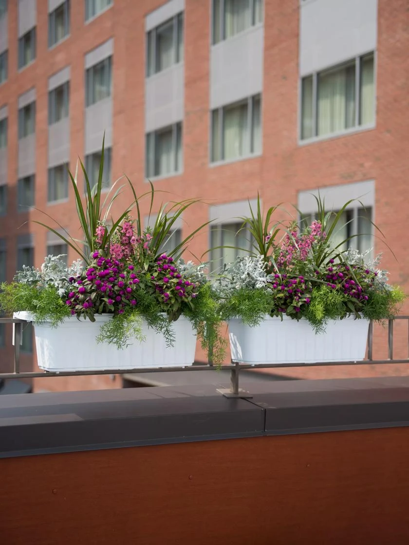 Adjustable Self-Watering Railing Planter, 24" 2 Adjustable Self-Watering Railing Planter, 24" - Image 2