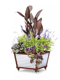 Galvanized Self-Watering Planters -Plant Sale Shop 8592176 5067 tif