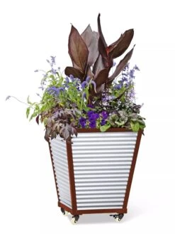 Galvanized Self-Watering Planters -Plant Sale Shop 8592177 5066 tif
