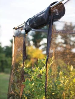 Storm Proof Crop Cage, Large -Plant Sale Shop 8592463 115 tif