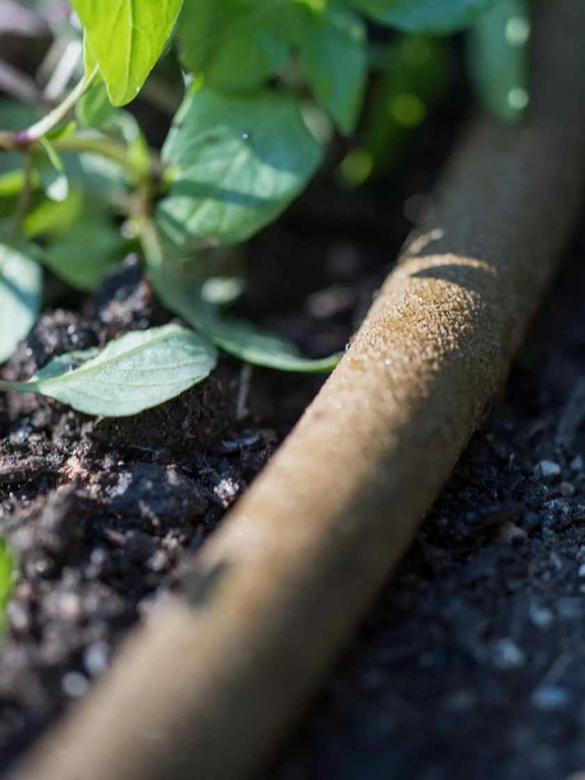 Premium 1/2" Soaker Hose 6 Premium 1/2" Soaker Hose - Image 6