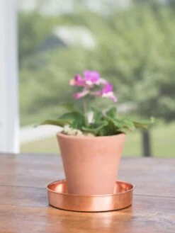 Extra Small Round Copper Plant Tray, 8" -Plant Sale Shop 8593528 4522 tif