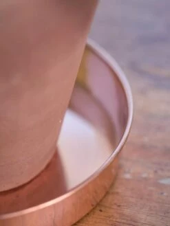 Extra Small Round Copper Plant Tray, 8" -Plant Sale Shop 8593528 4529 tif
