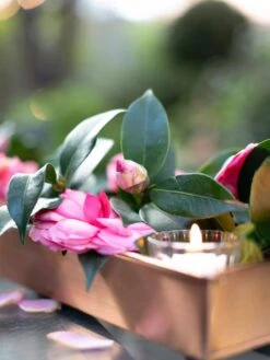 Rectangular Copper Plant Tray, 18"x4" -Plant Sale Shop 8593532 02IN tif