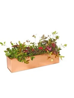 Tall Rectangular Copper Plant Tray, 18" X 5" X 4" -Plant Sale Shop 8593534 2899 tif