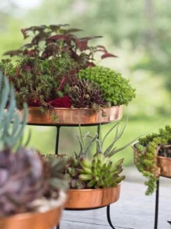 Small Round Copper Plant Tray, 10" -Plant Sale Shop 8593564 4399 tif