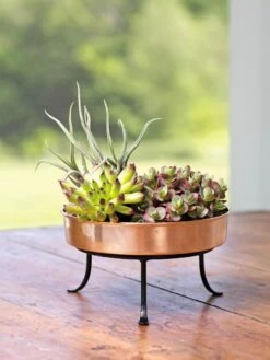 Extra Small Round Copper Plant Tray, 8" -Plant Sale Shop 8593564 4641 001E tif