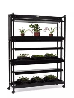 High Intensity 3-Tier SunLite® Garden 11 High Intensity 3-Tier SunLite® Garden -Plant Sale Shop 8593944 1608 tif
