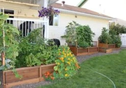 OLT Raised Cedar Garden Bed, 3' X 6' 9 OLT Raised Cedar Garden Bed, 3' X 6' -Plant Sale Shop 8594002 03V tif