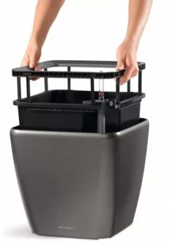 Lechuza® Quadro LS Premium Self-Watering Square Planters -Plant Sale Shop 8594096 04V tif