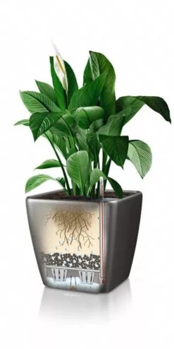 Lechuza® Quadro LS Premium Self-Watering Square Planters -Plant Sale Shop 8594096 05V tif