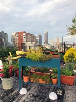 Demeter Mobile Planter Cart -Plant Sale Shop 8594148 01CUST tif