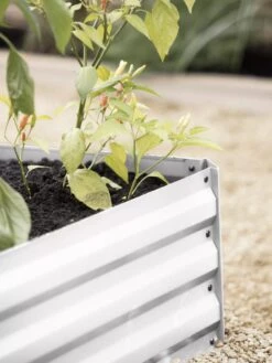 Demeter Corrugated Metal Raised Bed, 34" X 34" 12 Demeter Corrugated Metal Raised Bed, 34" X 34" -Plant Sale Shop 8594183 570 tif