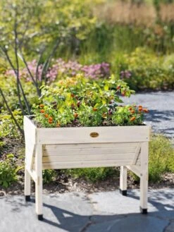 Compact VegTrug® Patio Garden -Plant Sale Shop 8594232 1196 tif