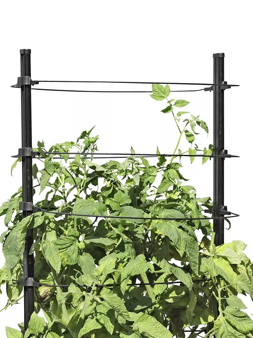 Gardener's Revolution® Classic Tomato Extension 1 Gardener's Revolution® Classic Tomato Extension