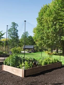 Protection Stakes For Netting, Set Of 4 -Plant Sale Shop 8594434 0015 tif