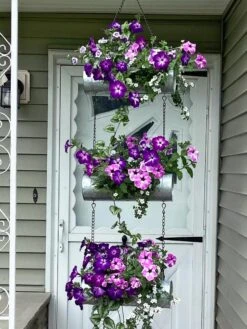 Galvanized Hanging Triple Planter -Plant Sale Shop 8595213 02CUST tif