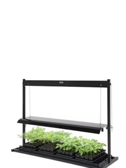 LED SunLite® Tabletop Garden -Plant Sale Shop 8595552 10125 tif