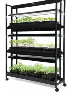 LED SunLite® 3-Tier Garden -Plant Sale Shop 8595554 10113 tif