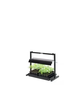 LED SunLite® Compact Tabletop Garden -Plant Sale Shop 8595555 10136 tif