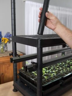 New Products -Plant Sale Shop 8595770 7361 tif