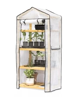 VegTrug® Patio Greenhouse -Plant Sale Shop 8595803 7136 tif