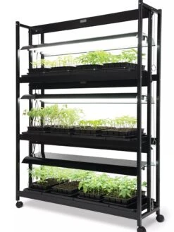 LED SunLite® High Intensity 3-Tier Garden 8 LED SunLite® High Intensity 3-Tier Garden -Plant Sale Shop 8596024 10201 tif