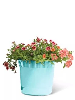 Eezy Gro Self-Watering Planters -Plant Sale Shop 8596426 103 tif