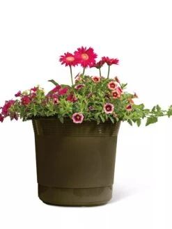 Eezy Gro Self-Watering Planters -Plant Sale Shop 8596427 108 tif