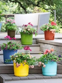 Plant Sale Shop 7 Eezy Gro Self-Watering Planters