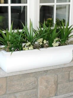 Valencia Window Box, 3' 7 Valencia Window Box, 3' -Plant Sale Shop 8596436 008V tif