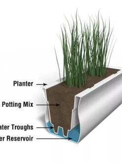 Valencia Window Box, 4' -Plant Sale Shop 8596436 17V tif