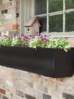 Valencia Window Box, 4' -Plant Sale Shop 8596437 001V tif