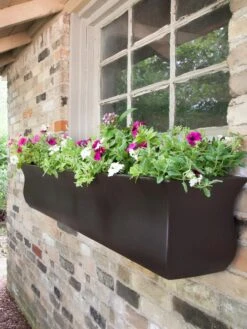Valencia Window Box, 4' -Plant Sale Shop 8596437 08V tif