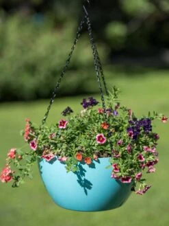Viva Self-Watering Hanging Basket, 14" Diameter -Plant Sale Shop 8596442 0859 tif