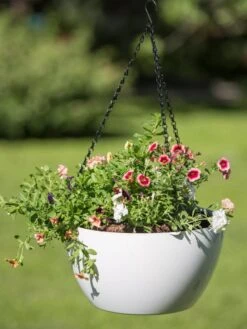 Viva Self-Watering Hanging Basket, 14" Diameter -Plant Sale Shop 8596442 0864 tif