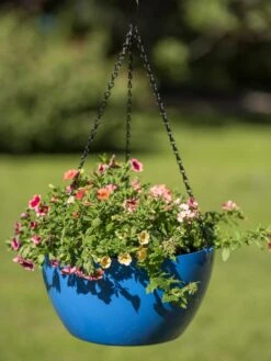 Viva Self-Watering Hanging Basket, 14" Diameter -Plant Sale Shop 8596442 0876 tif