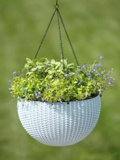 Weave Self-Watering Hanging Basket, 14" -Plant Sale Shop 8596490 10307 tif