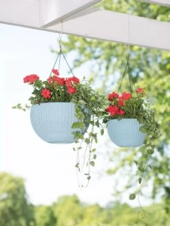 Weave Self-Watering Hanging Basket, 10" -Plant Sale Shop 8596490 2069 tif