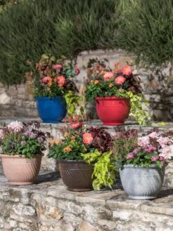 Mazzano Self-Watering Planters -Plant Sale Shop 8596570 4963 tif