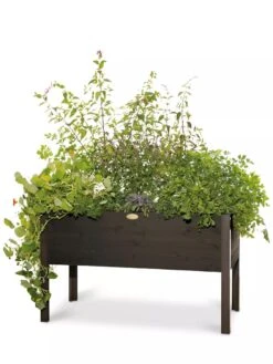 Eco-Stained Elevated Planter Box, 2'x4' -Plant Sale Shop 8596759 100 tif