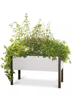 Eco-Stained Elevated Planter Box, 2'x4' -Plant Sale Shop 8596759 3837 tif