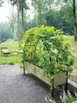 Self-Watering Elevated Planter Box, 2' X 8' 25 Self-Watering Elevated Planter Box, 2' X 8' -Plant Sale Shop 8596760 0046 tif