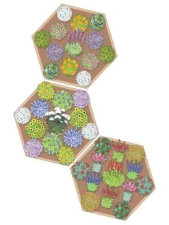 Pollinator Garden Bed -Plant Sale Shop 8597000 Hummingbird Plan tif