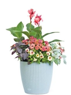 Weave Self-Watering Round Planter, 14" -Plant Sale Shop 8597388 2175 tif