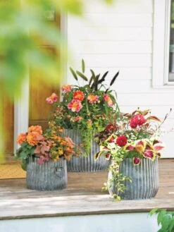 Plant Sale Shop 31 Galvanized Ribbed Planters