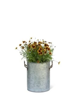Galvanized Rim Planters -Plant Sale Shop 8597442 1705 tif