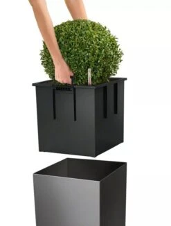 Lechuza® Cube Premium Planters 8 Lechuza® Cube Premium Planters -Plant Sale Shop 8597506 04V tif
