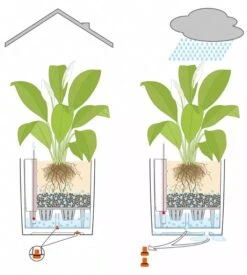 Lechuza® Cube Premium Planters 9 Lechuza® Cube Premium Planters -Plant Sale Shop 8597506 05V tif