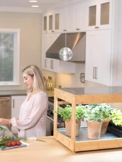 Low Bamboo LED Grow Light Garden -Plant Sale Shop 8597720 0816 tif